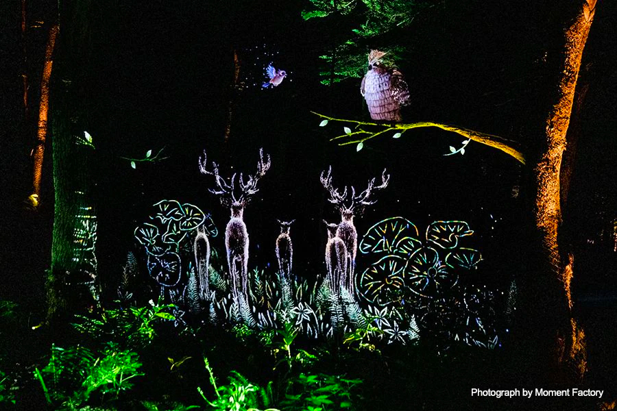 案例｜EMC易倍为壮观的Kamuy Lumina魔法夜行旅游项目提供配乐设备