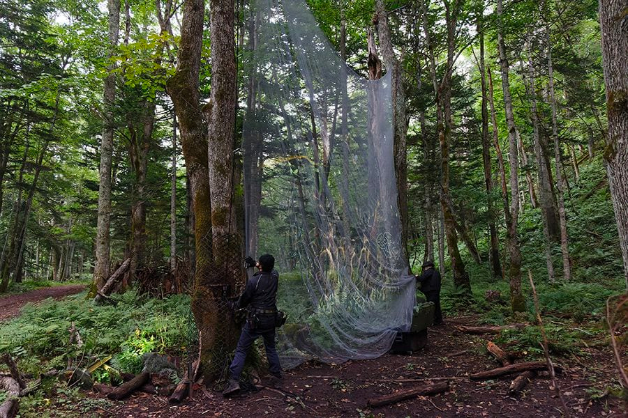 案例｜EMC易倍为壮观的Kamuy Lumina魔法夜行旅游项目提供配乐设备